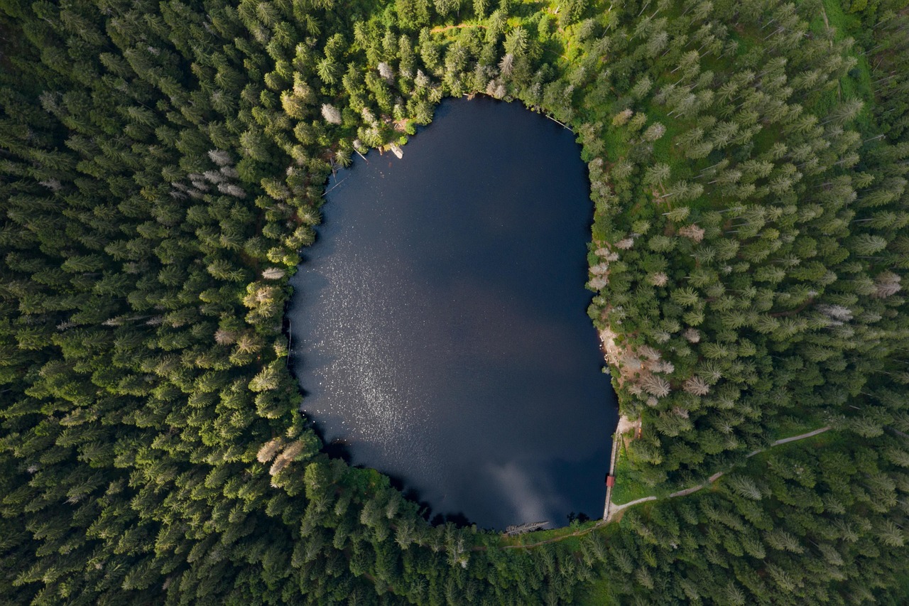 Schwarzwald